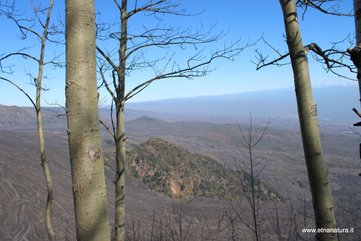 Monte Pomiciaro